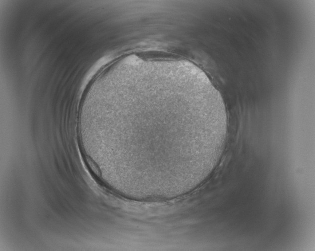 X0000081630003200702051310