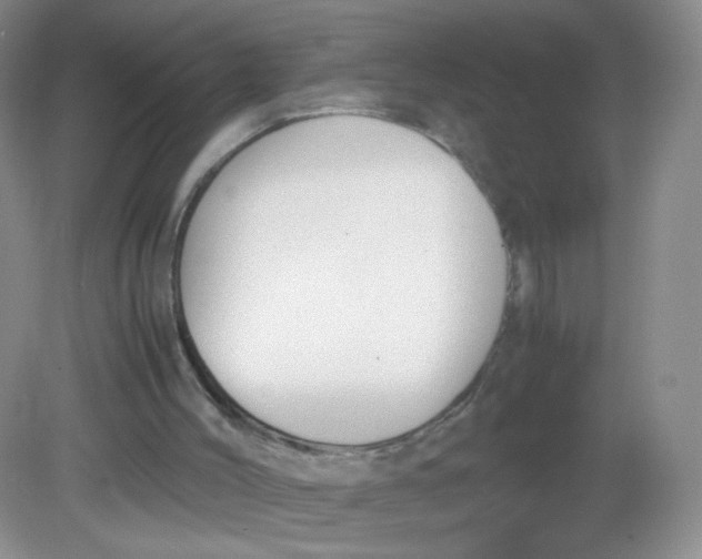 X0000081630004200702051310