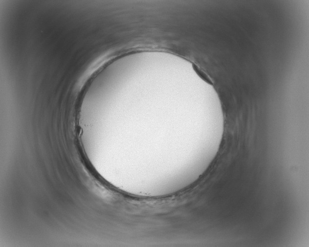 X0000081630005200702051310