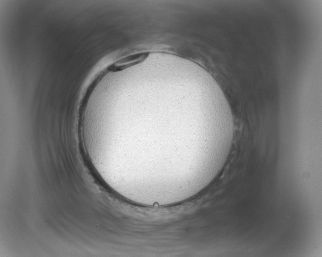 X0000081630006200702051310