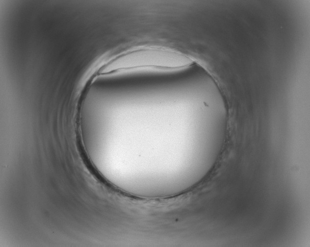 X0000081630007200702051310