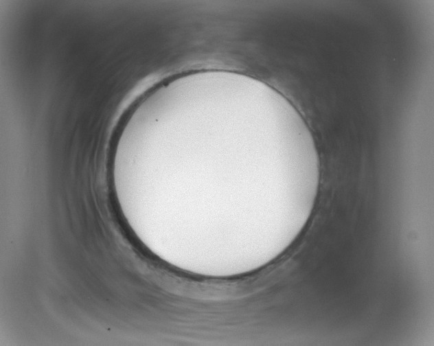 X0000081630008200702051310