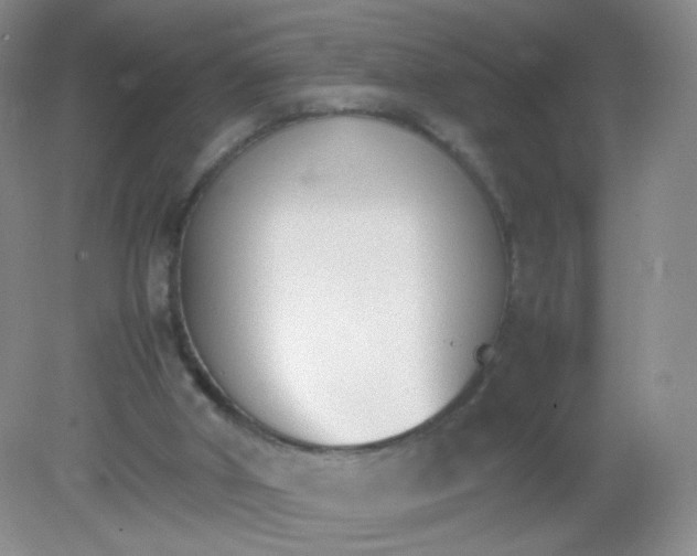 X0000081630010200702051310