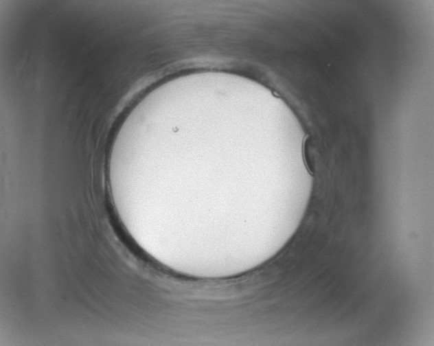 X0000081630011200702051310