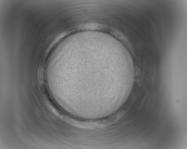 X0000081630012200702051310