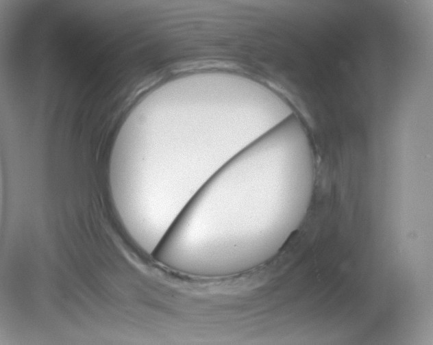 X0000081630013200702051310