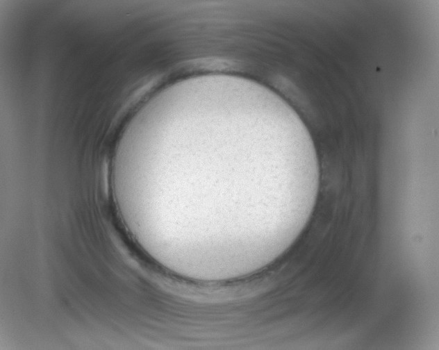 X0000081630014200702051310