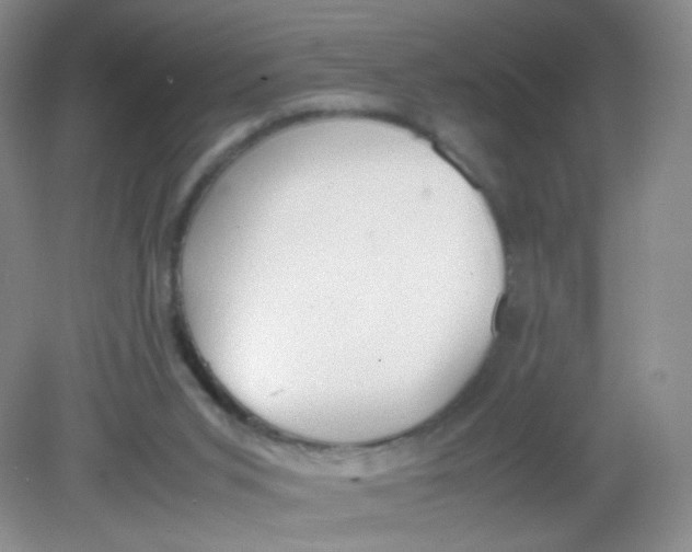 X0000081630015200702051310