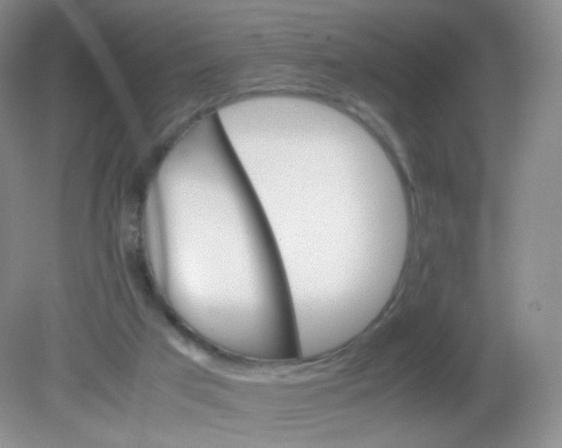 X0000081630017200702051310