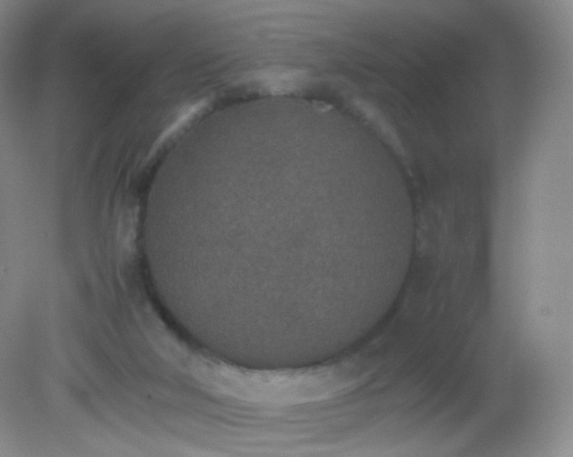 X0000081630018200702051310