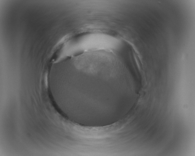 X0000081630019200702051310