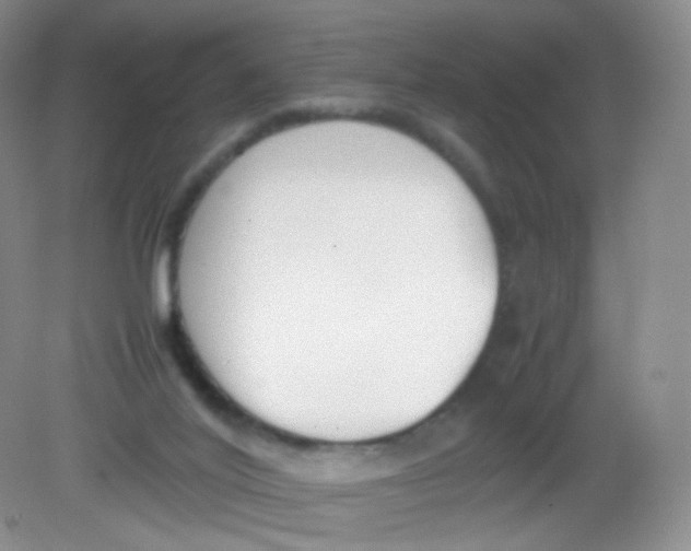 X0000081630020200702051310