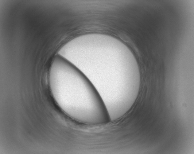 X0000081630021200702051310