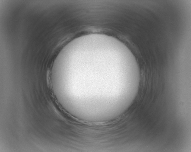 X0000081630024200702051310