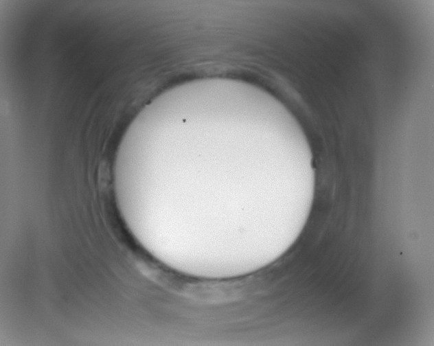 X0000081630025200702051310