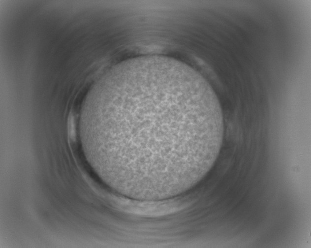 X0000081630026200702051310