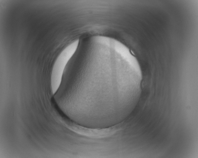 X0000081630027200702051310