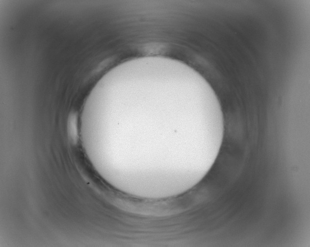 X0000081630028200702051310