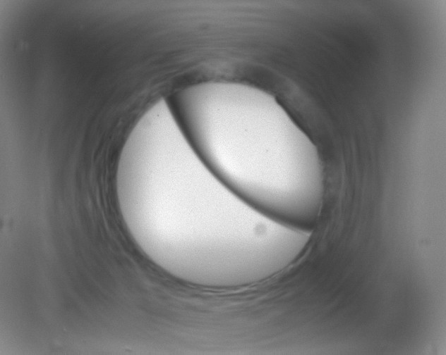 X0000081630029200702051310