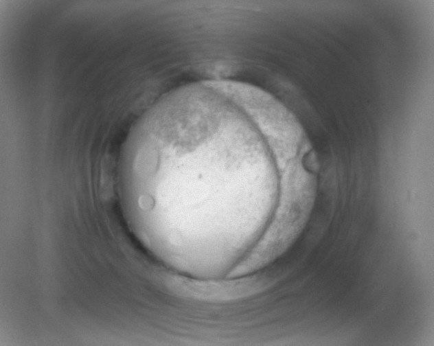 X0000081630030200702051310