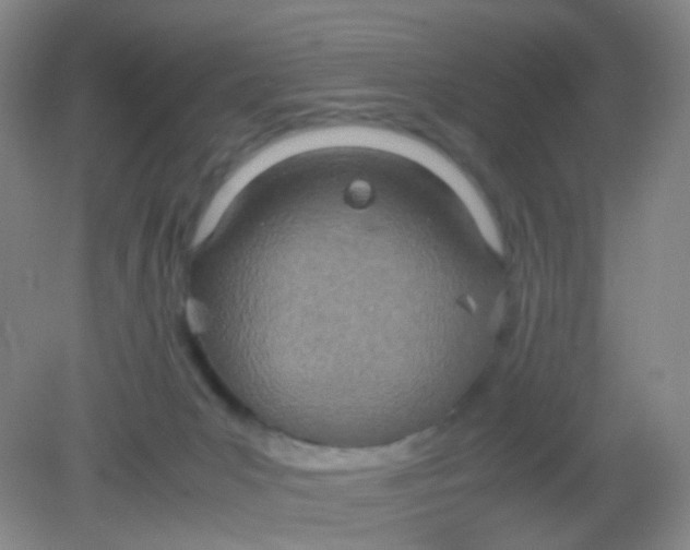 X0000081630031200702051310