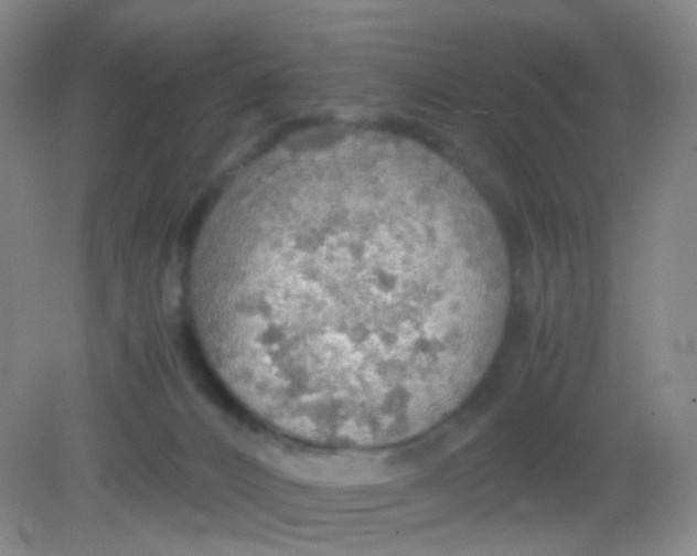 X0000081630032200702051310