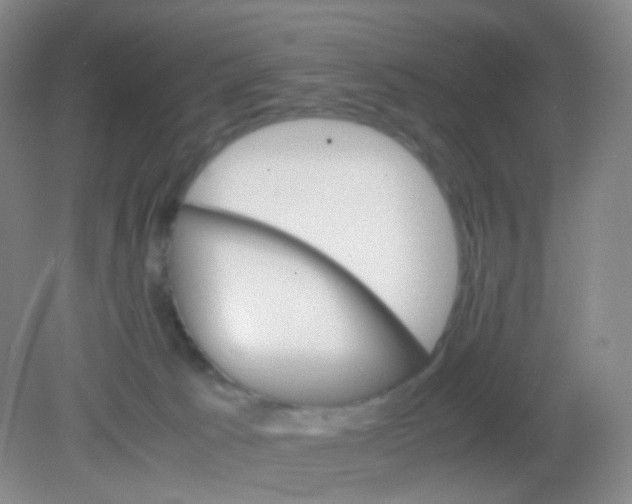 X0000081630033200702051310