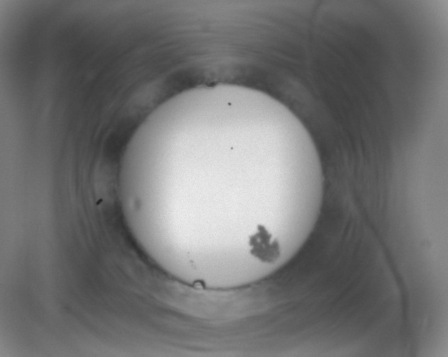 X0000081630034200702051310