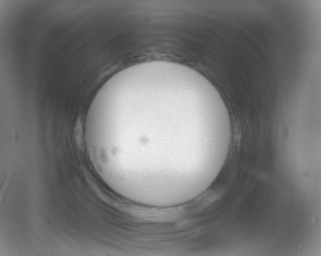 X0000081630036200702051310