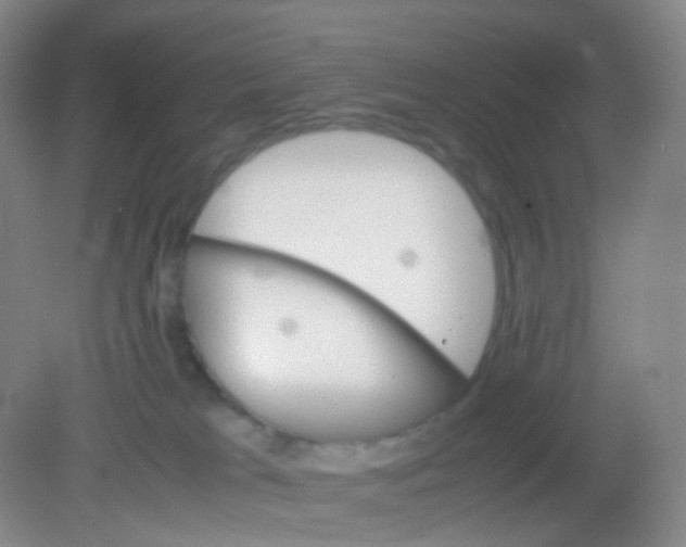 X0000081630037200702051310