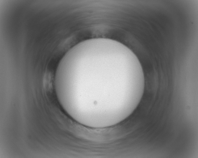 X0000081630038200702051310