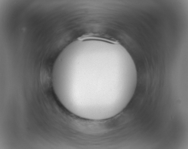 X0000081630040200702051310