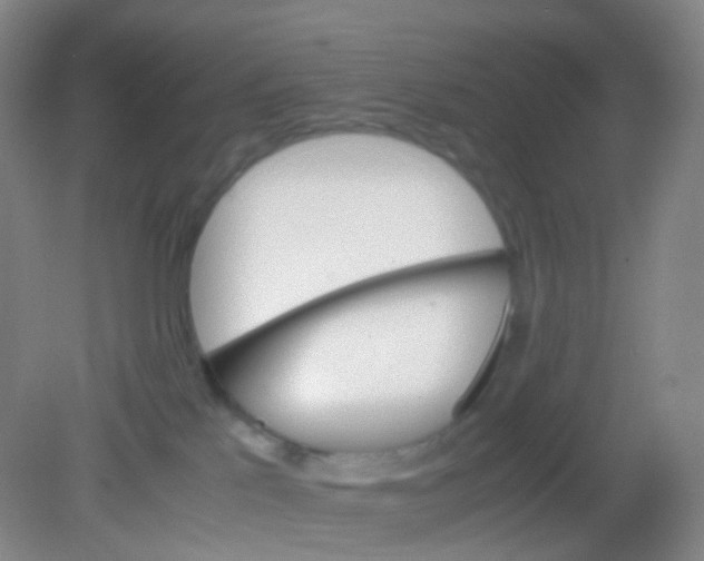 X0000081630041200702051310