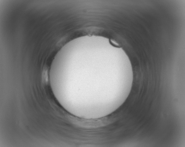 X0000081630042200702051310