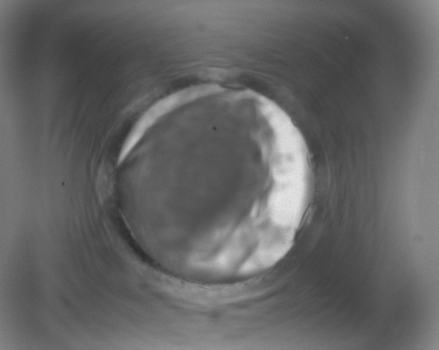 X0000081630043200702051310