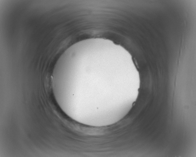 X0000081630044200702051310