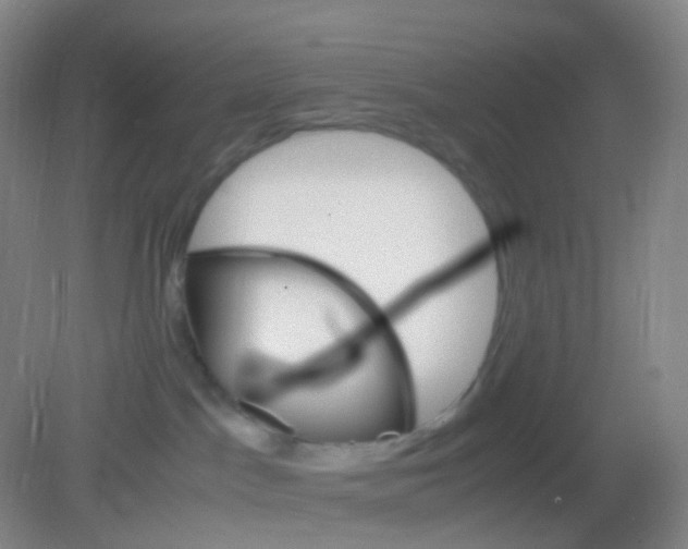 X0000081630045200702051310