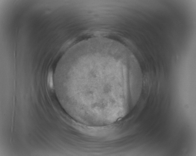 X0000081630046200702051310