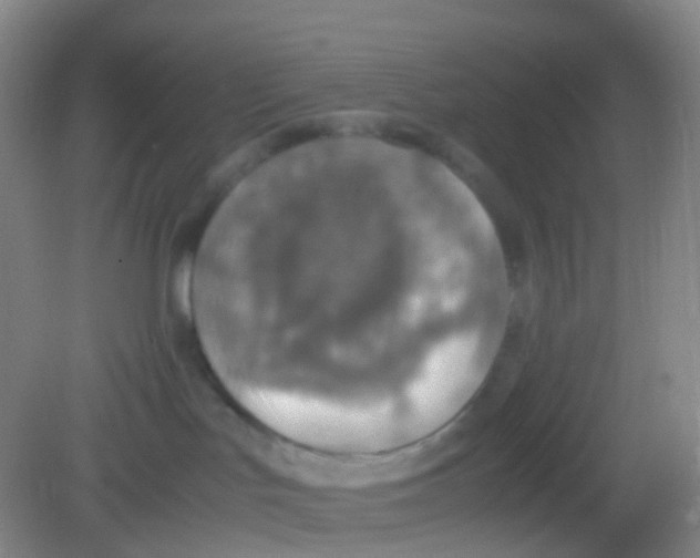 X0000081630047200702051310