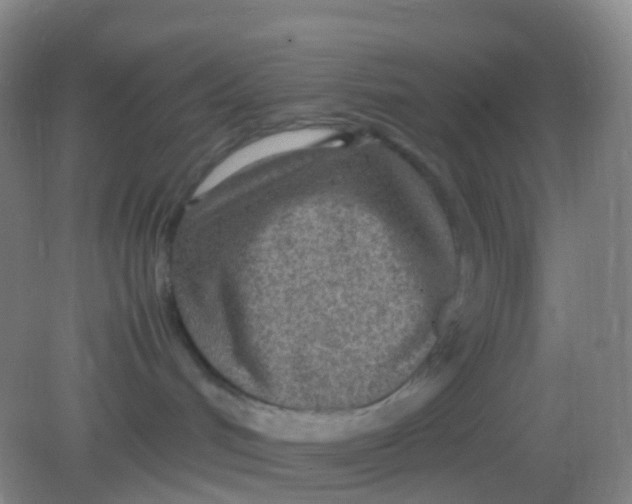 X0000081630048200702051310