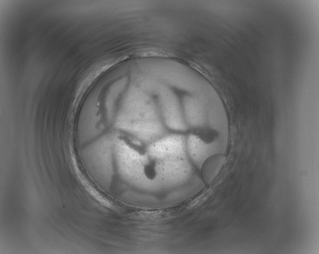 X0000081630049200702051309