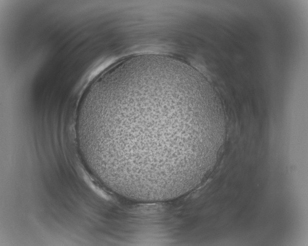 X0000081630050200702051309