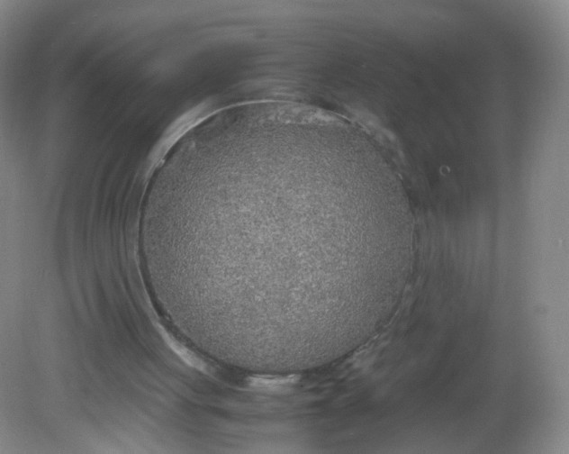 X0000081630051200702051309