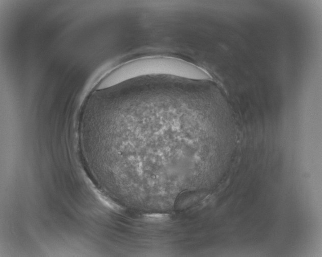 X0000081630053200702051309