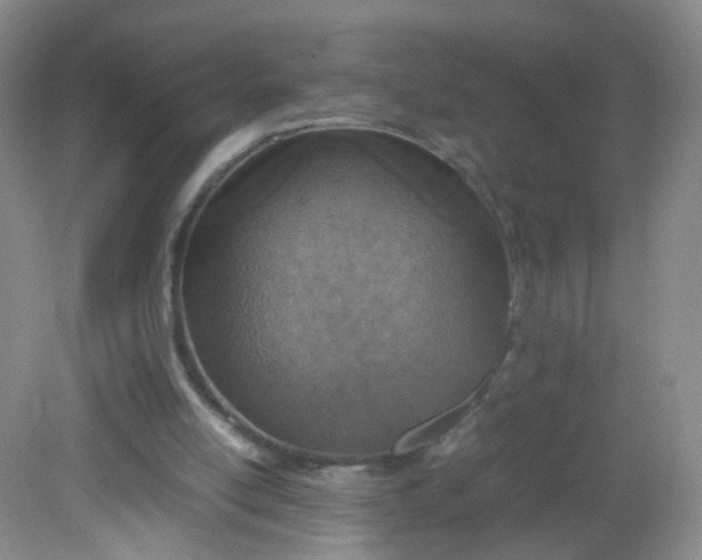 X0000081630054200702051309