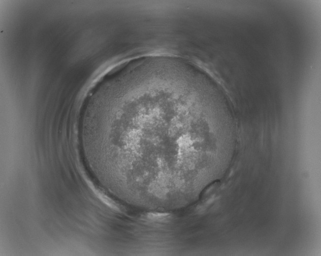 X0000081630055200702051309