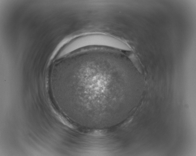 X0000081630056200702051309