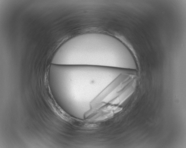 X0000081630057200702051309