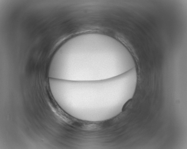 X0000081630058200702051309