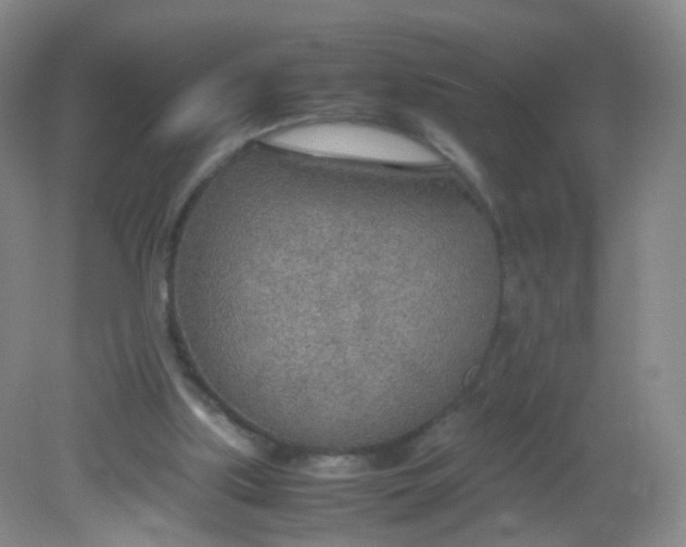 X0000081630059200702051309